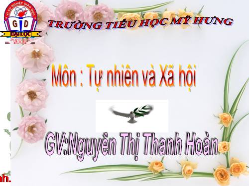 Bài 20. An toàn trên đường đi học