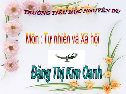 Bài 20. An toàn trên đường đi học