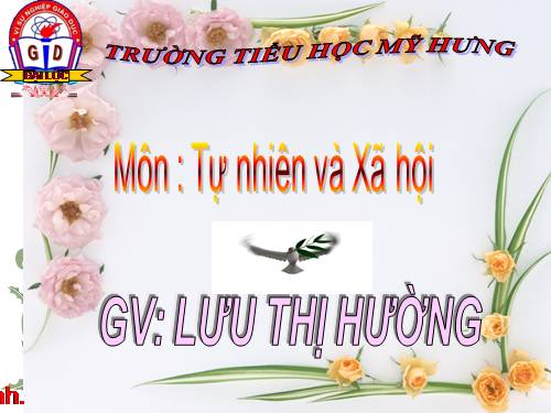 Bài 20. An toàn trên đường đi học