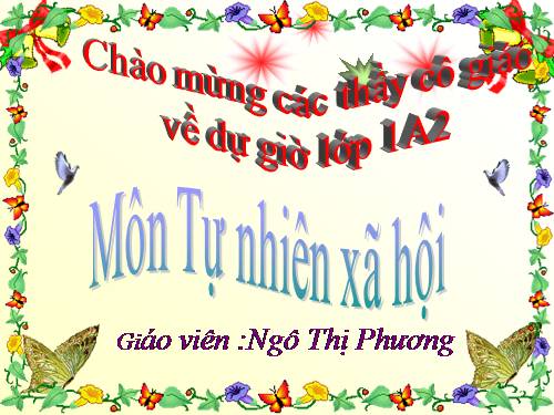 Bài 11. Gia đình