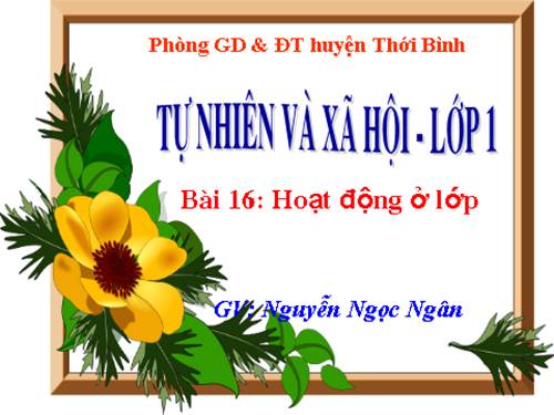 Bài 16. Hoạt động ở lớp