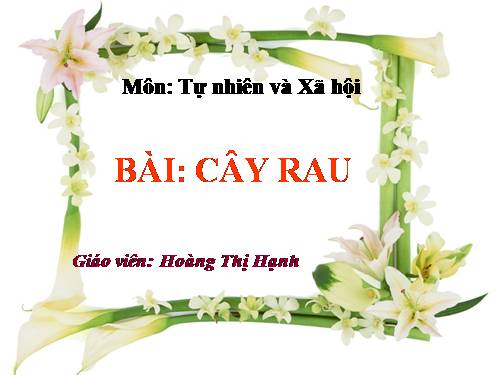 Bài 22. Cây rau