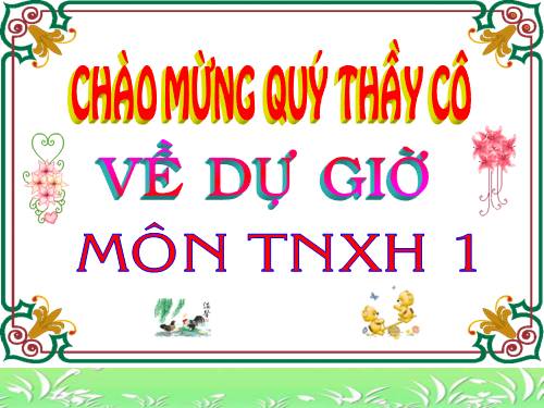 Bài 29. Nhận biết cây cối và con vật