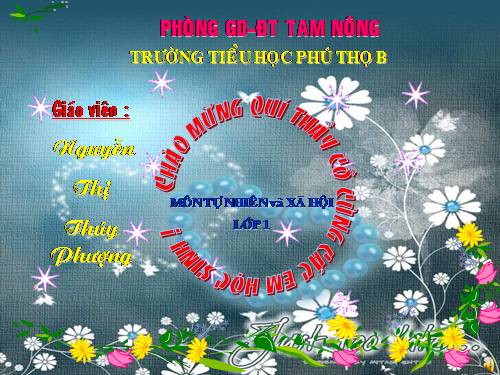 Bài 9. Hoạt động và nghỉ ngơi