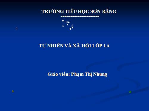 Bài 10. Ôn tập: Con người và sức khoẻ