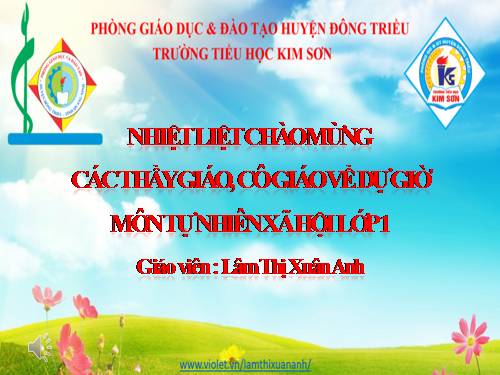 Bài 19. Cuộc sống xung quanh (tiếp theo)