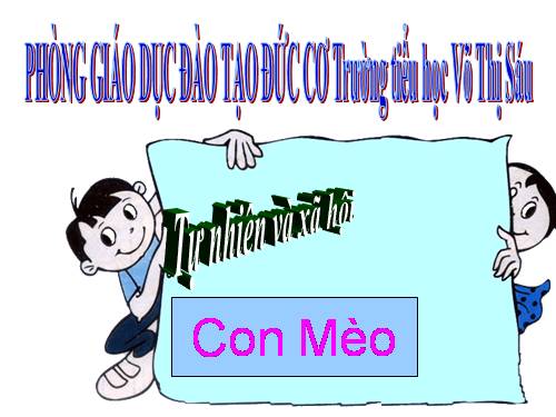 Bài 27. Con mèo