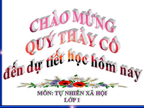 Bài 28. Con muỗi