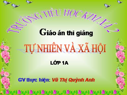 Bài 13. Công việc ở nhà.