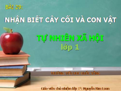 Bài 29. Nhận biết cây cối và con vật