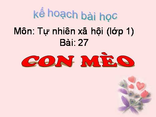 Bài 27. Con mèo