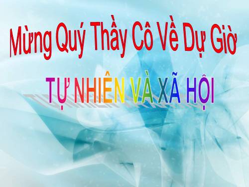 Bài 20. An toàn trên đường đi học