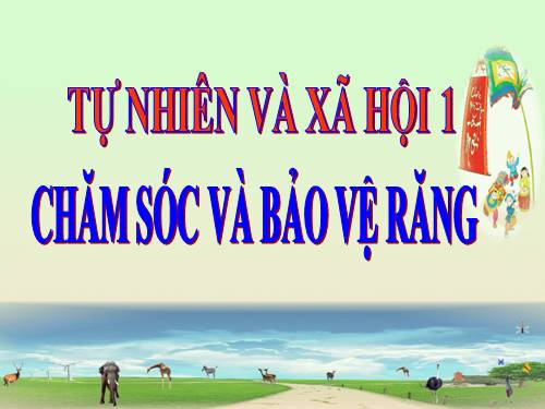 Bài 6. Chăm sóc và bảo vệ răng