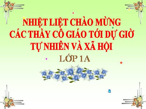 Bài 6. Chăm sóc và bảo vệ răng