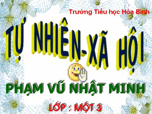 Bài 12. Nhà ở