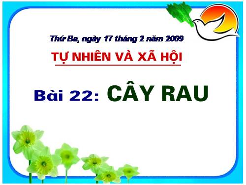 Bài 22. Cây rau