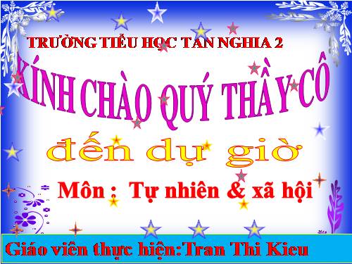 Bài 11. Gia đình