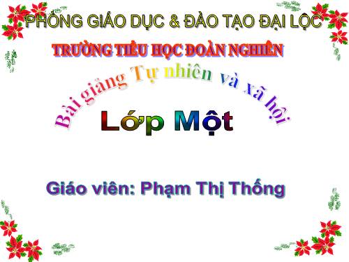 Bài 28. Con muỗi