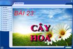 Bài 23. Cây hoa