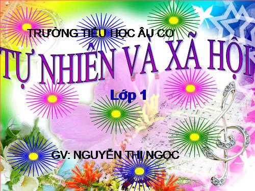 Bài 29. Nhận biết cây cối và con vật