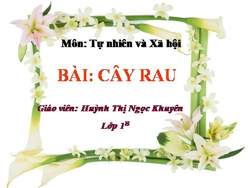 Bài 22. Cây rau