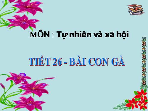 Bài 26. Con gà