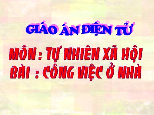 Bài 13. Công việc ở nhà.