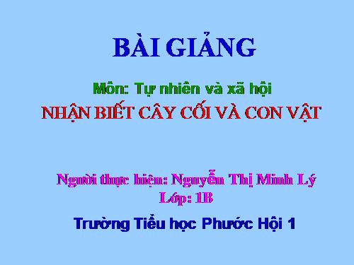 Bài 29. Nhận biết cây cối và con vật