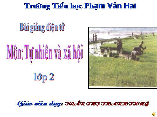 Bài 18. Cuộc sống xung quanh