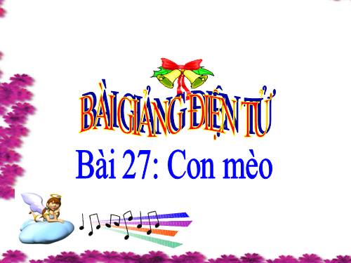 Bài 27. Con mèo