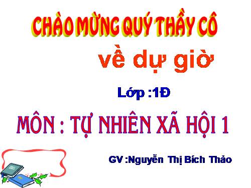 Bài 16. Hoạt động ở lớp