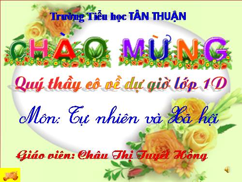 Bài 16. Hoạt động ở lớp