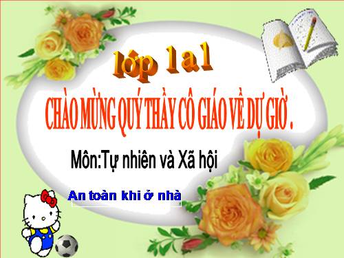 Bài 14. An toàn khi ở nhà