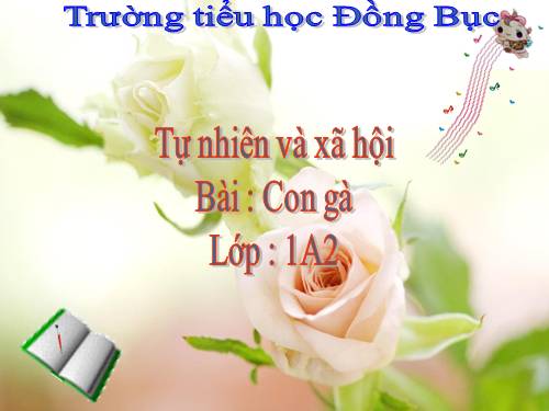 Bài 26. Con gà