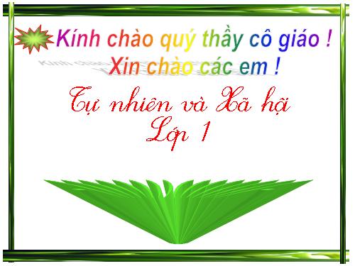 Bài 16. Hoạt động ở lớp