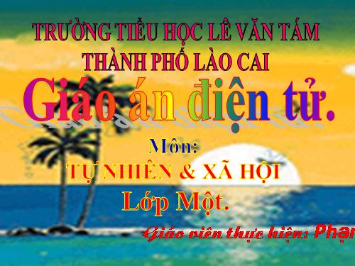 Bài 13. Công việc ở nhà.