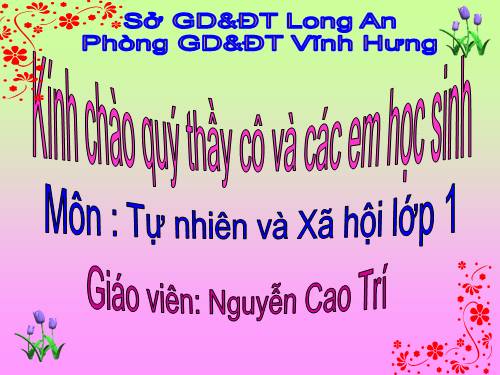 Bài 29. Nhận biết cây cối và con vật