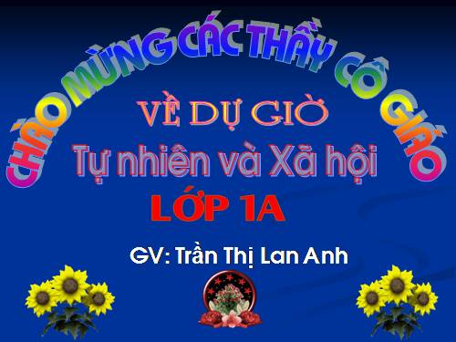 Bài 11. Gia đình