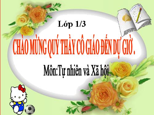 Bài 14. An toàn khi ở nhà