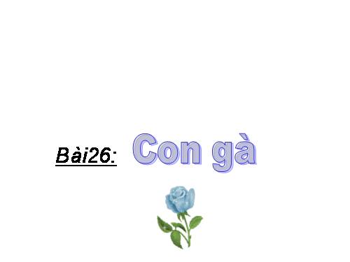 Bài 26. Con gà