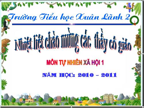 Bài 13. Công việc ở nhà.