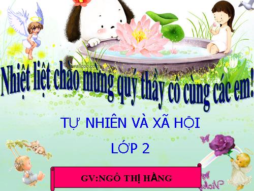 Bài 20. An toàn trên đường đi học