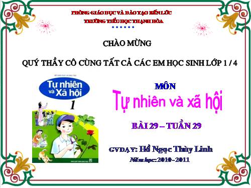 Bài 29. Nhận biết cây cối và con vật