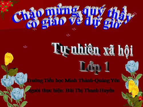 Bài 14. An toàn khi ở nhà