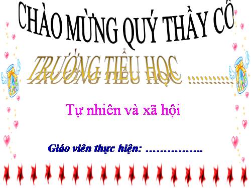 Bài 24. Cây gỗ