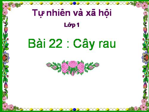 Bài 22. Cây rau