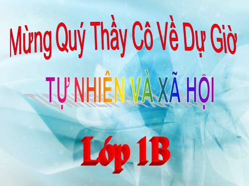 Bài 20. An toàn trên đường đi học