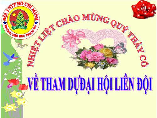 Chương trình Đại hội Đội