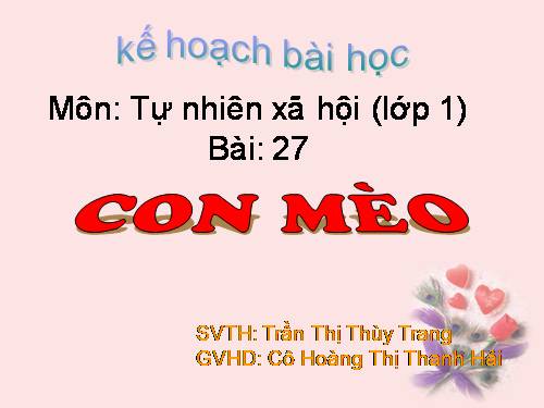 Bài 27. Con mèo