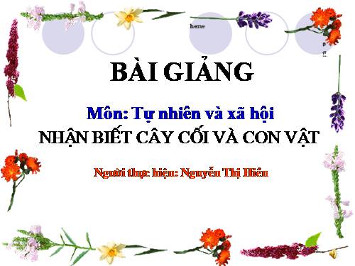 Bài 29. Nhận biết cây cối và con vật